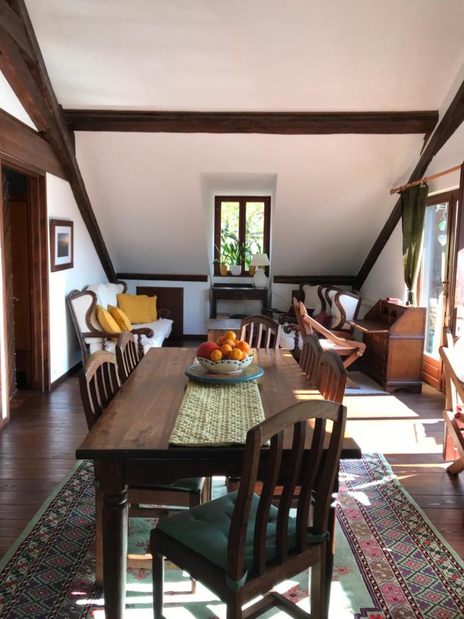 Villa Castle View Menthon Extérieur photo