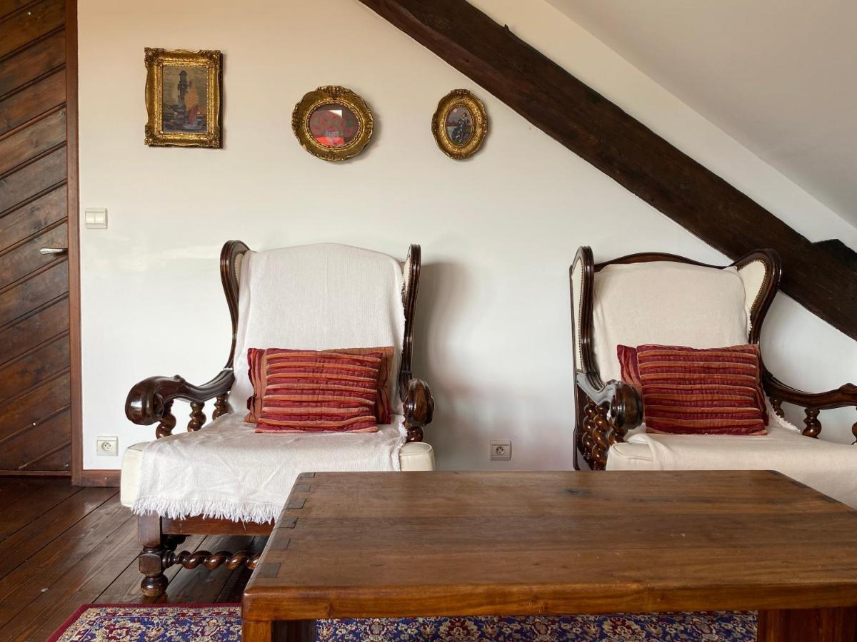 Villa Castle View Menthon Extérieur photo